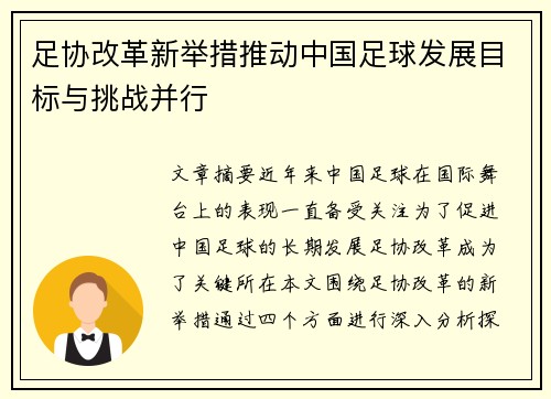 足协改革新举措推动中国足球发展目标与挑战并行